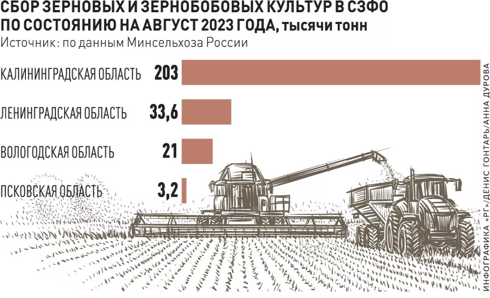 Плотников Сергей Александрович